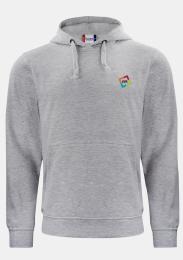 Kapuzensweater Grau mit Schullogo