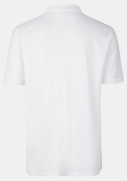30330001 - Polo