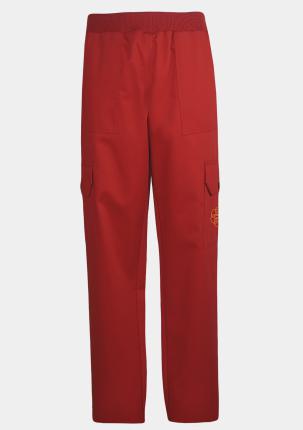 9AKHW0419 - Cargohose Stretch mit Schullogo