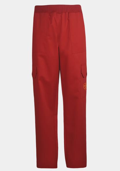 9AKHW0419 - Cargohose Stretch mit Schullogo