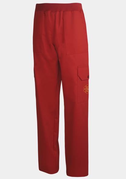 9AKHW0419 - Cargohose Stretch mit Schullogo