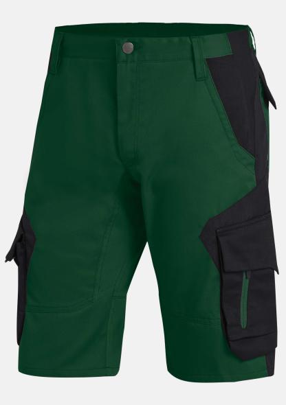 31252002520 - Bermuda Wulf