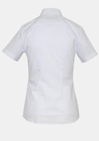 6DBW2014255 - Damenbluse Classic