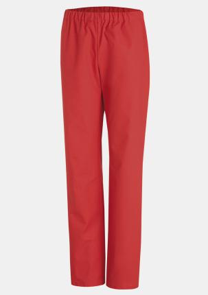 30878002 - Hose