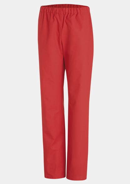 30878002 - Hose